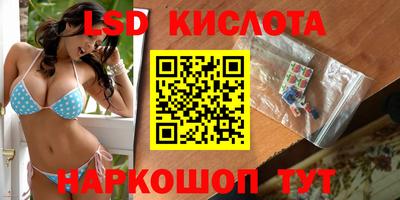шишки Новозыбков
