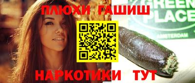 шишки Новозыбков